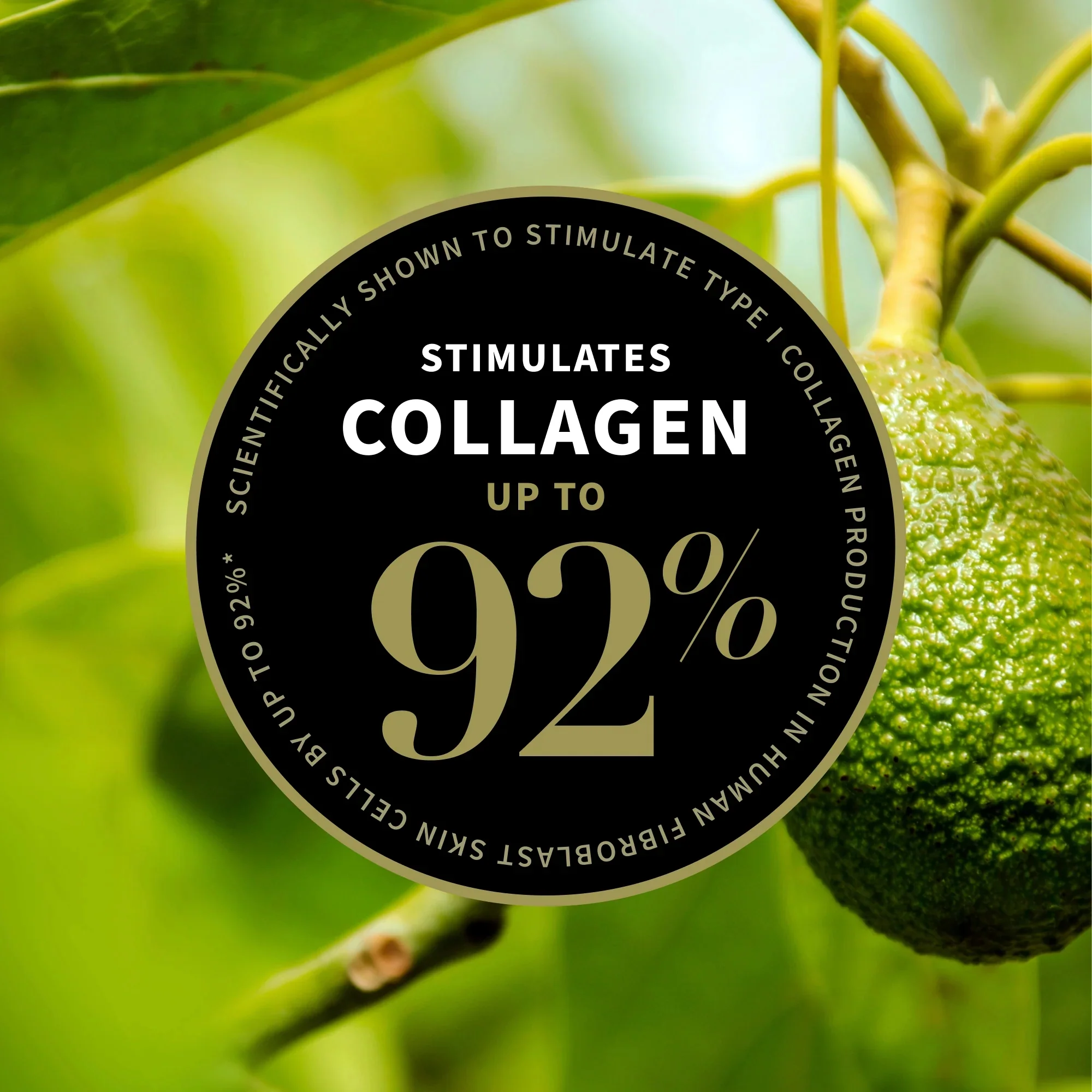 Antipodes Avocado Pear Collagen-Boosting Night Cream - Image 5