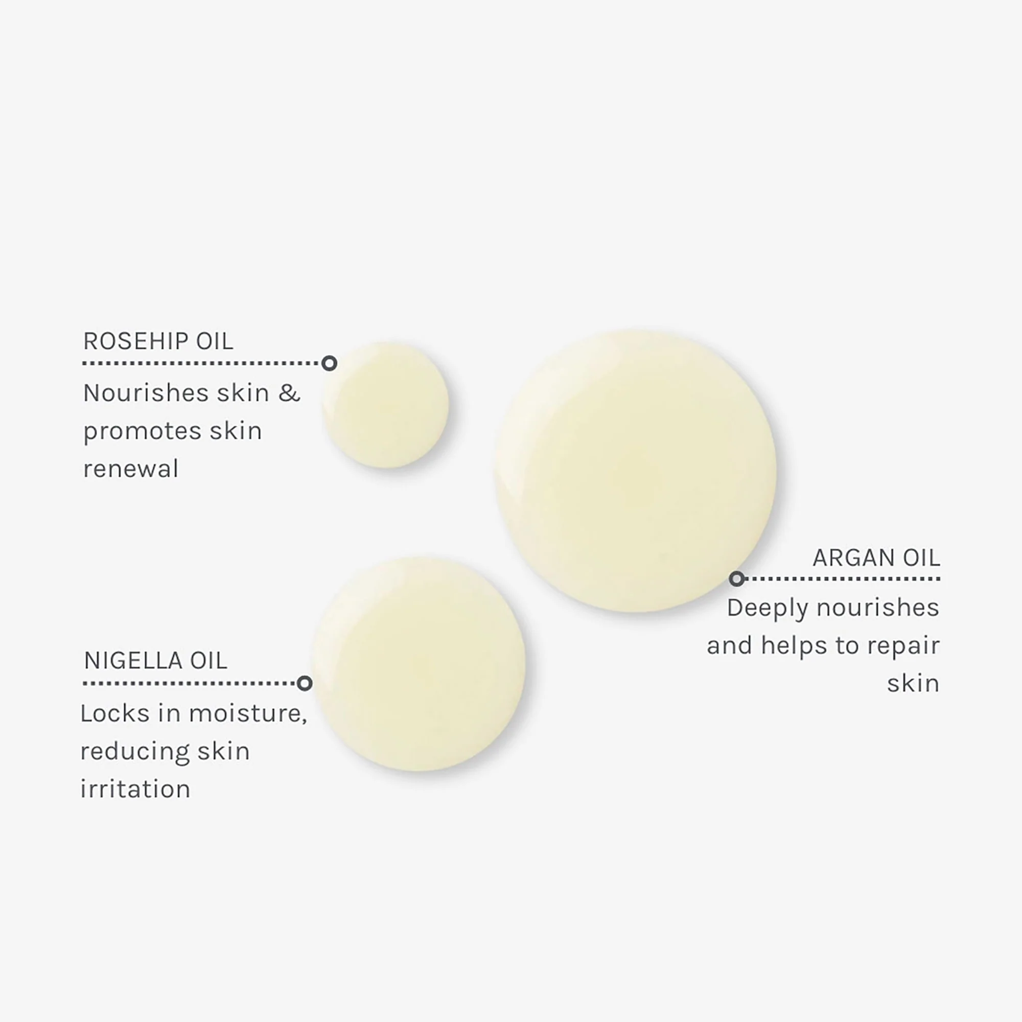 Evolve Rosehip Miracle Oil - Image 4
