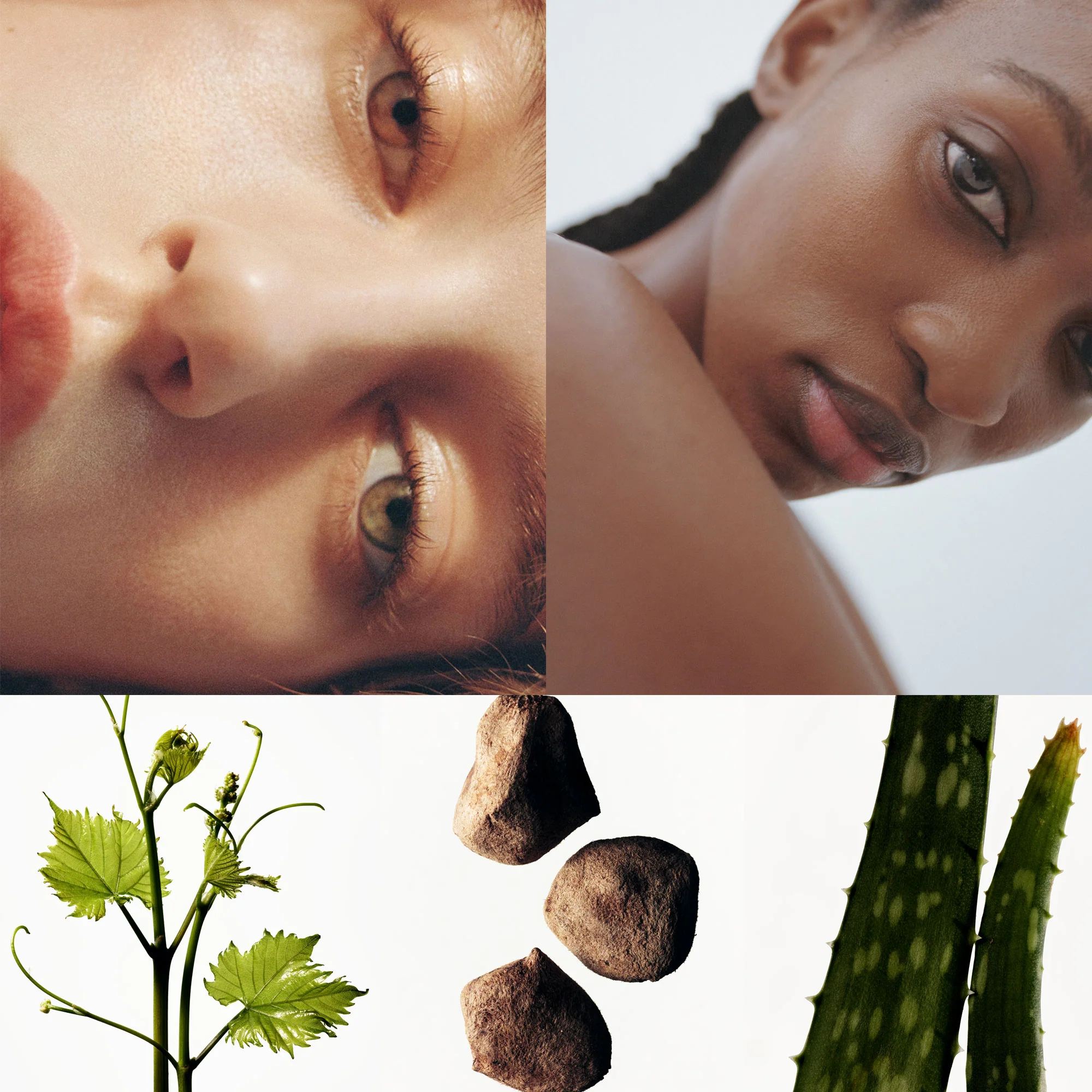 Manasi 7 Botanical Face Cream Furora - Image 3