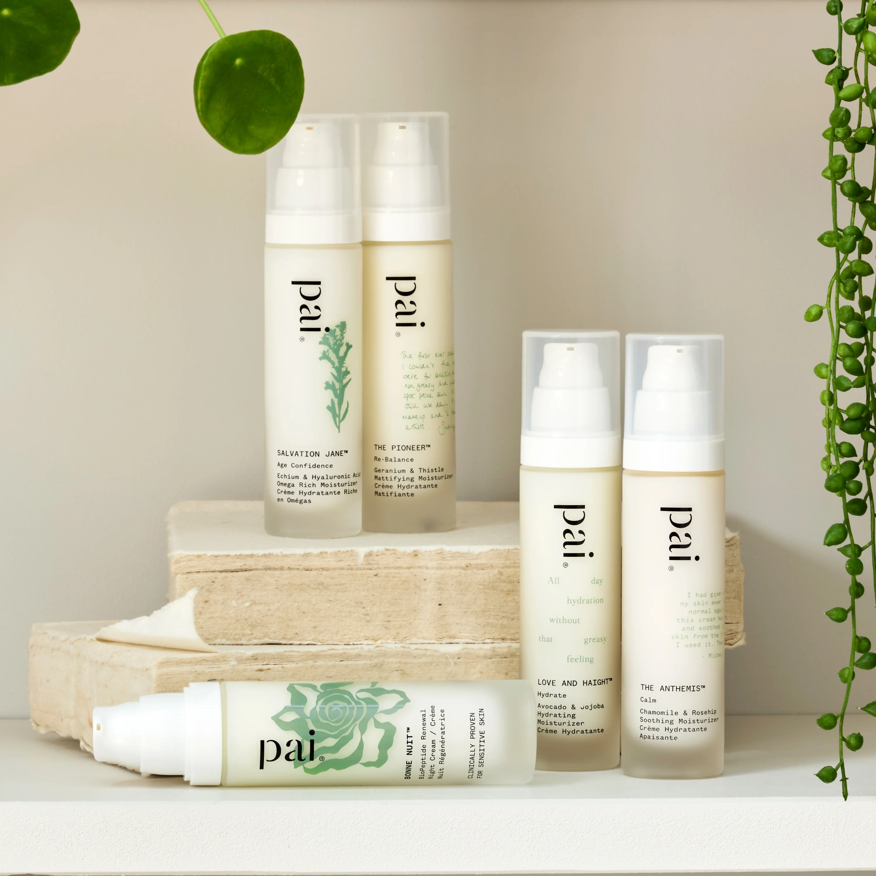 Pai Love And Haight™ Hydrating Moisturiser - Image 7