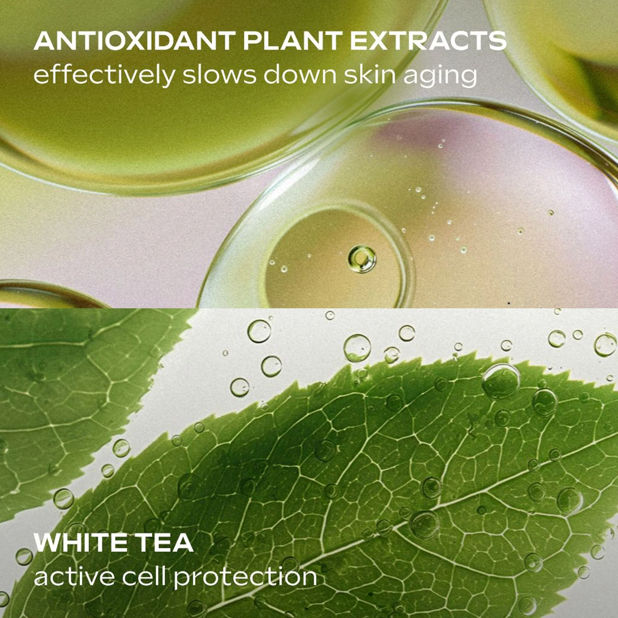 Weleda Slow Ageing Astaxanthin Serum Booster Drops - Image 3