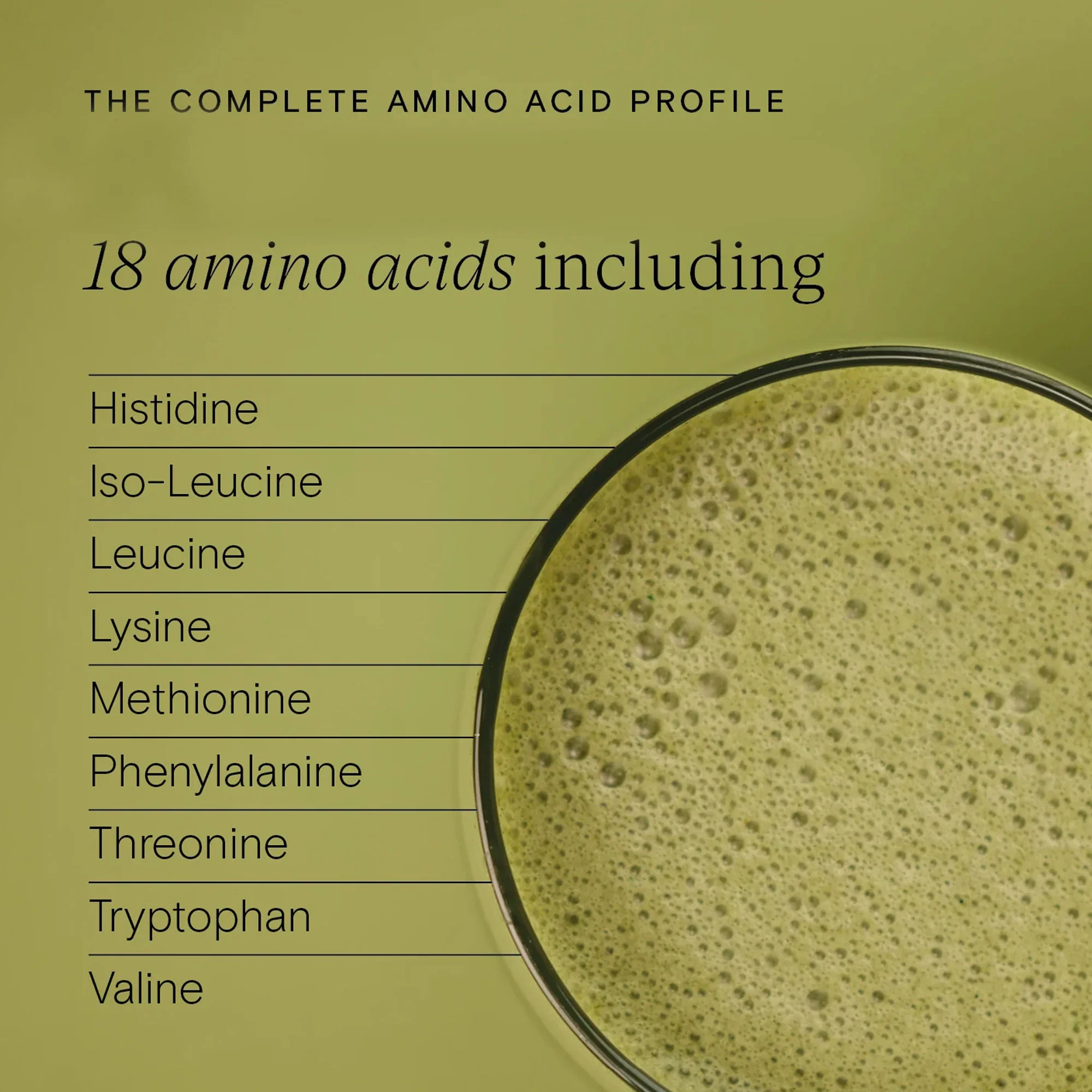 Wild Nutrition Organic Protein + Superfood Powder - Image 5